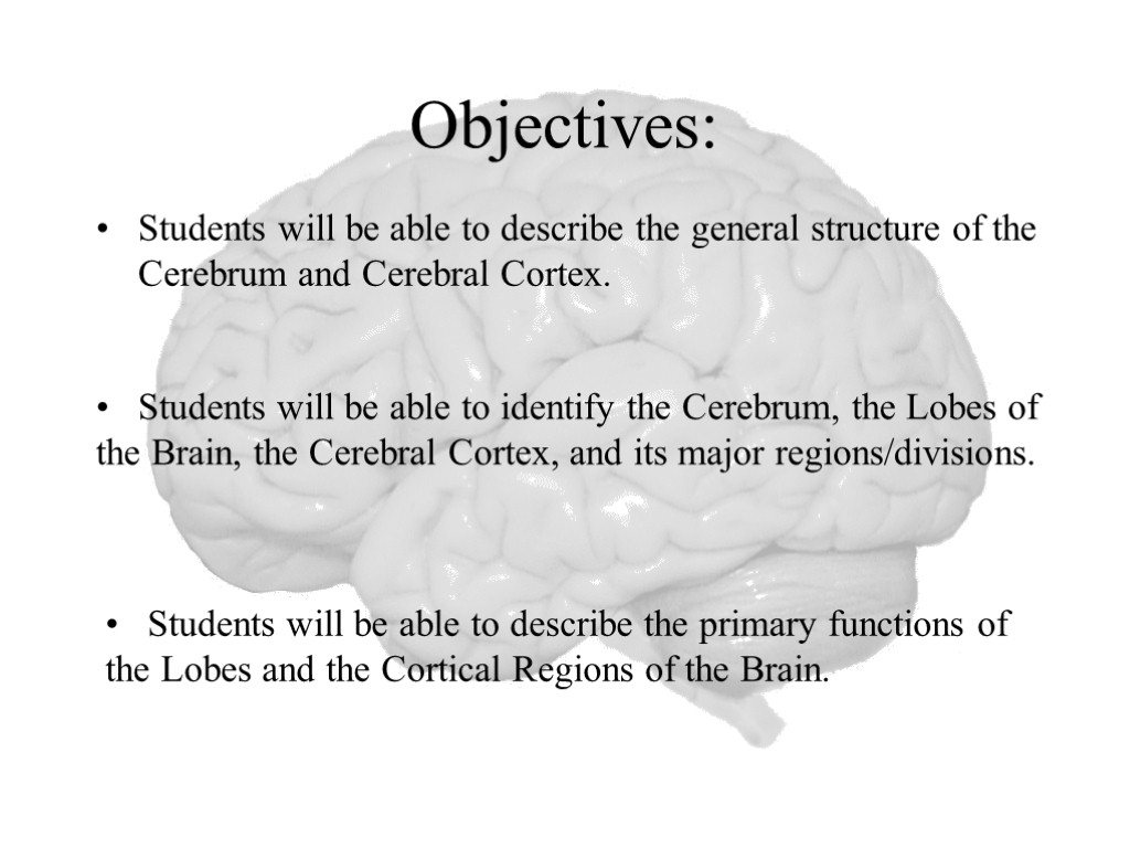 Objectives: Students will be able to describe the general structure of the Cerebrum and